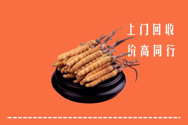 高价求购：莒县回收散虫草