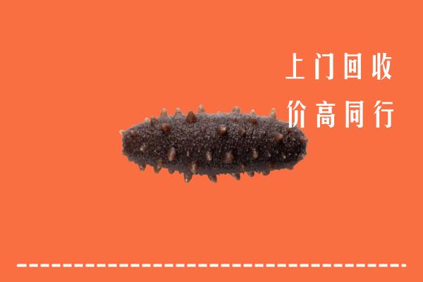 高价求购：莒县回收海参