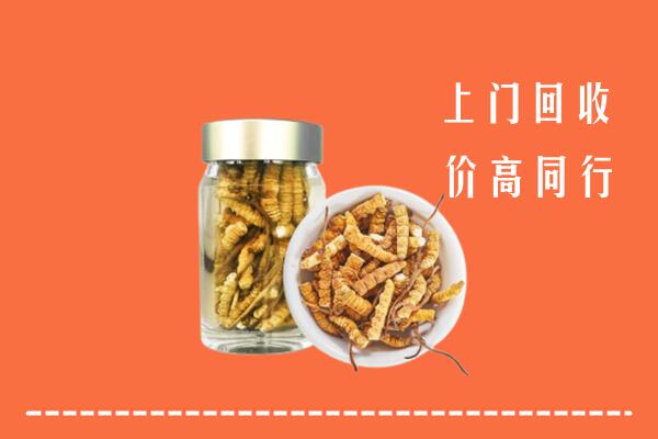 莒县回收冬虫夏草