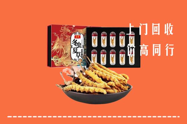 莒县回收虫草